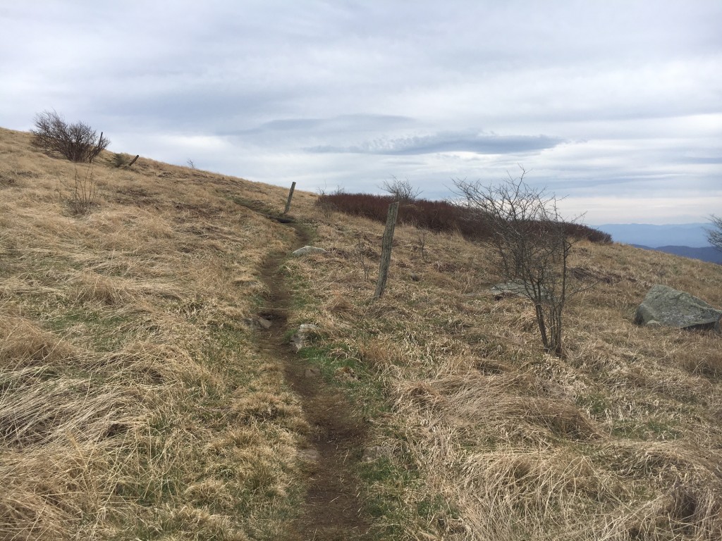 Bald Mountain