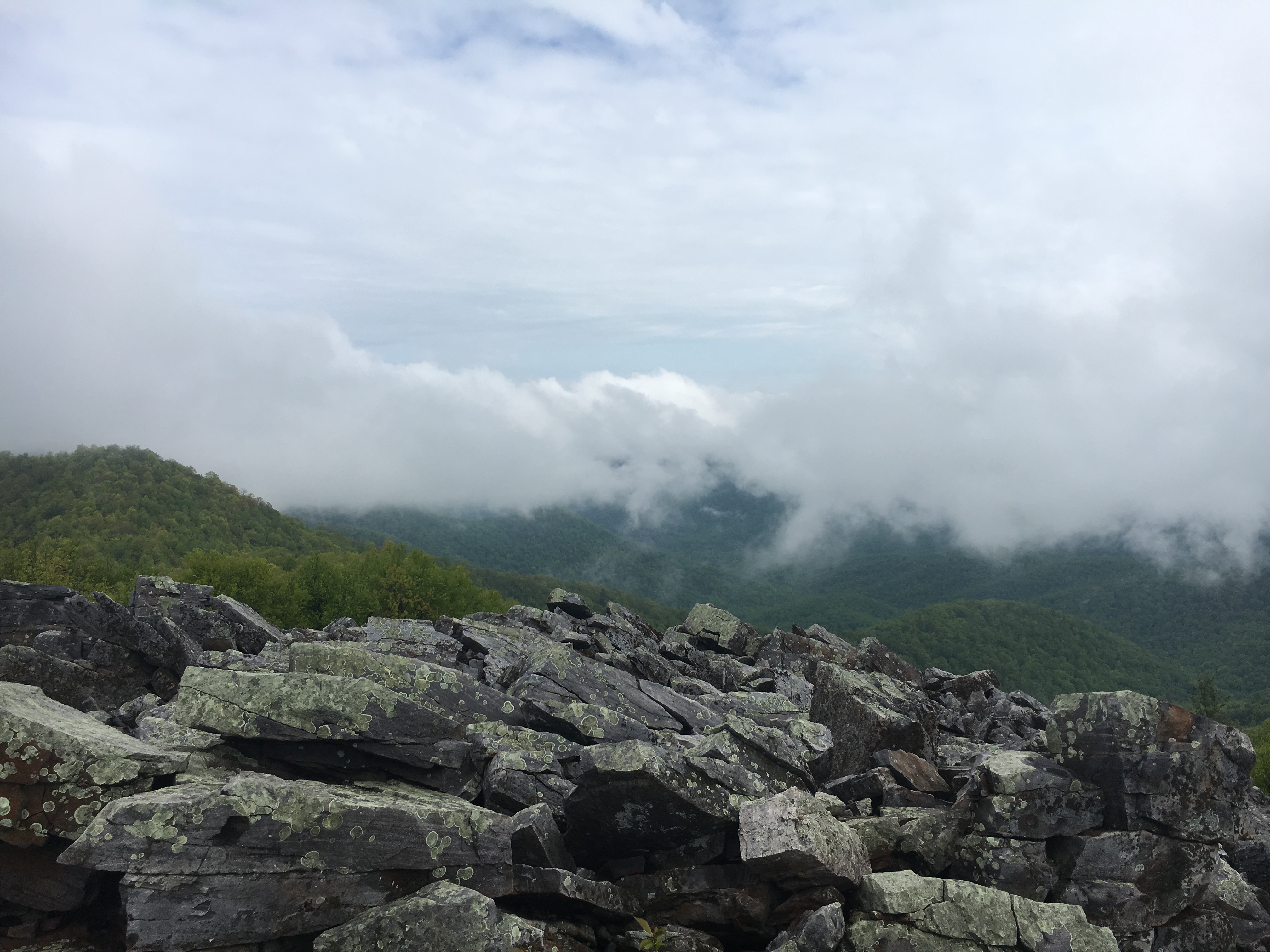 The view from Blacktop Mountain
